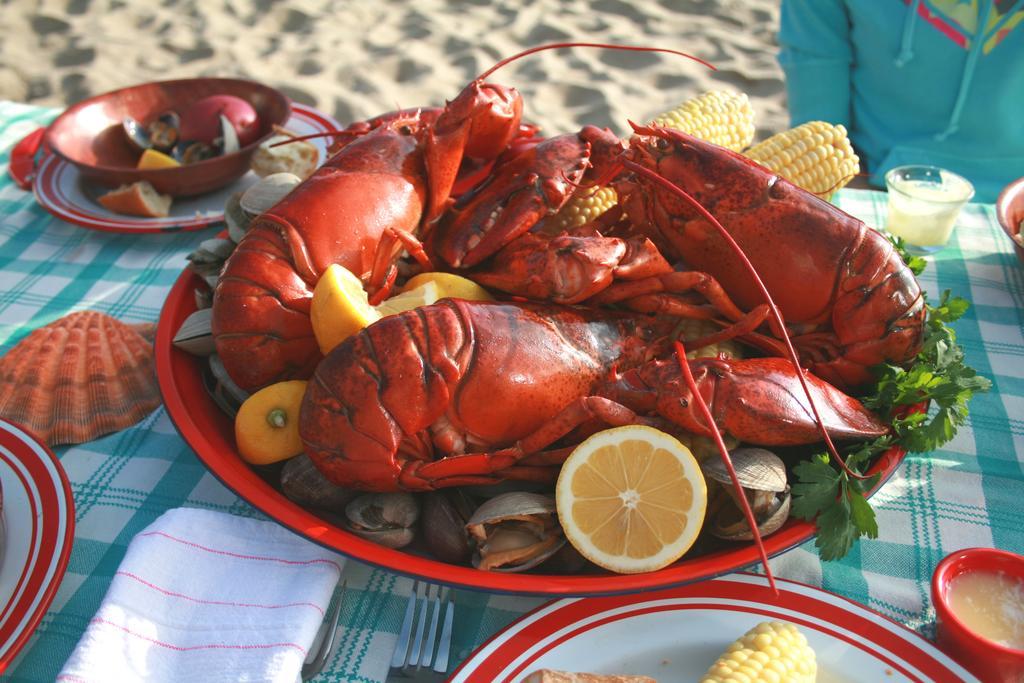 The Lodge At Turbat'S Creek Kennebunkport Ngoại thất bức ảnh